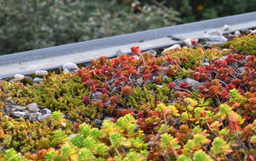the cost of Bargoed Or Bargod green roof installation