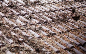 Bargoed Or Bargod roof cleaning companies